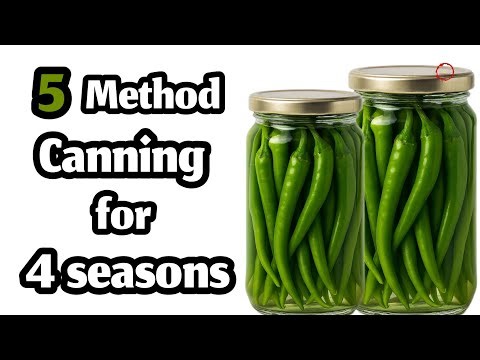 آشپزی:۵روش طلایی نگهداری فلفل سبز در تمام فصل ها