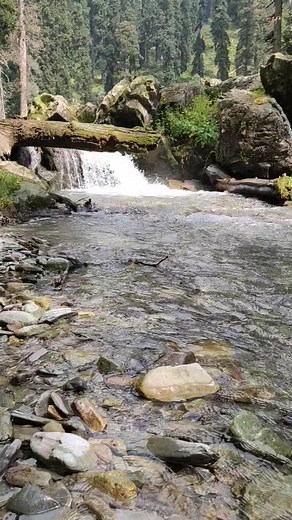 10M views · 233K reactions | Beautiful Scenery #Waterfall #viralvideoシfyp | Islamic cultural | Facebook