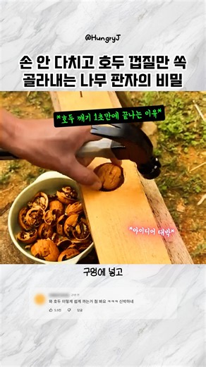 손 안 다치고 호두 껍질만 쏙 골라내는 나무 판자의 비밀