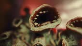 Creepy surreal gnawing, biting hungry creatures. Alien lifeform....