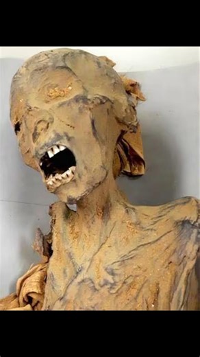 This mummy looks like it's been screaming for 3,000 years 😨