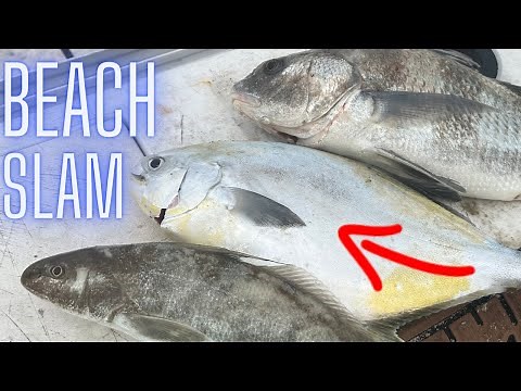 Beach Slam? How to Surf Fish Beginners Surf Fishing Florida for Pompano Whiting and Black Drum