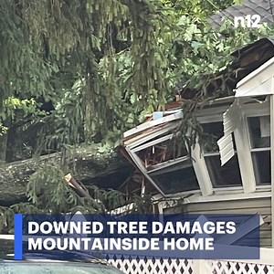 STORM DAMAGE: A large tree fell in #Mountainside on top of a house on Longview Drive. - MORE: https://bit.ly/3xqkCeJ | News 12 New Jersey