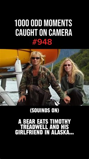 Odd Footage on Instagram: "In October 2003, Timothy Treadwell — the self-proclaimed “Grizzly Man” — was killed and eaten by a bear in Alaska’s Katmai National Park, along with his girlfriend, Amie Huguenard. For 13 summers, Treadwell had lived among wild grizzlies, believing he had earned their trust. But that final trip proved he had crossed a line that nature would not forgive. When park rangers arrived, they found their campsite destroyed — the remains of both victims scattered, and a 1,000-p