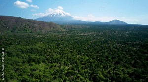 青木ヶ原樹海と富士山を空撮