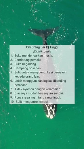 25K reactions · 2.6K shares | Kamu termasuk orang ber iq tinggi? #fakta #status #unikpedia #storywa #quotes #fyp #shorts | Unikpedia Unikpedia | Facebook