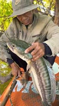 Fish Caught! Don'T miss This! #fishing #survival