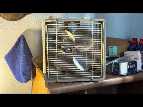 12” Edison box fan ( 1964 model)