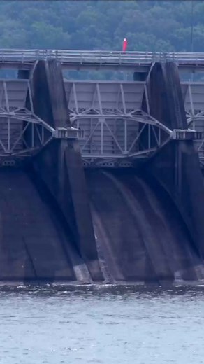 Have You Ever Used Skipjack for Catfish Bait? | Dieter Melhorn Fishing