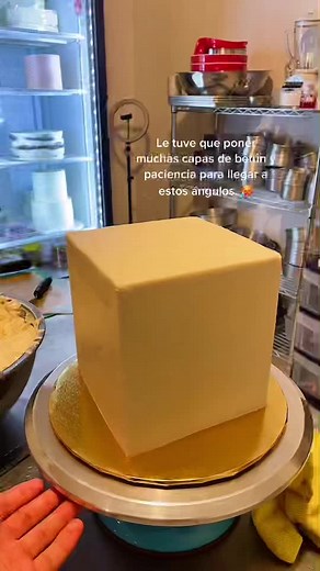 Palominos Cake on TikTok