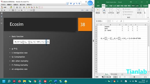 EwE介绍-04Ecosim基础公式