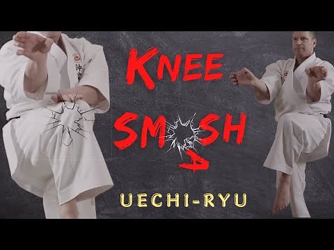 Knee Strikes of Okinawan Karate - Ultimate Low-Level Attacking