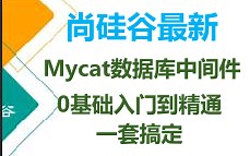 最新Mycat数据库中间件视频教程