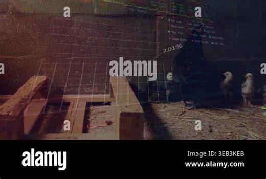 Animation of data processing over smiling businesspeople on using laptop video call. Medical research technology and sport concept digitally generated animation Stock Video Footage - Alamy