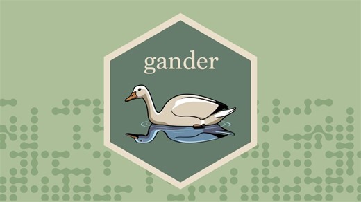 {gander}: A Context-Aware AI Assistant for R and RStudio