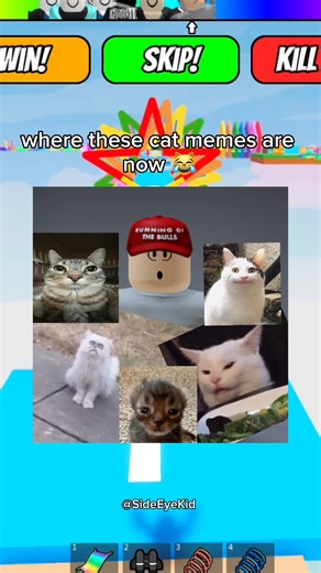 Where are these Cat memes now part 1 😭🙏 #roblox #robloxrant #rblx #relatable