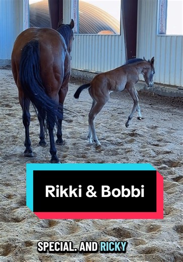 Rikki & Bobbi's Hilarious Fast Version