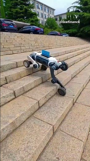 China's ROBOT DOGS Are Patrolling the World Cup RIGHT NOW #news #technology #china #robot