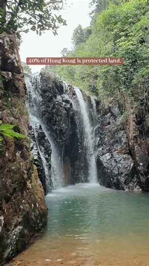 Hong Kong is not what you think it is! 40% of it is protected country park & nature. #hongkonglife