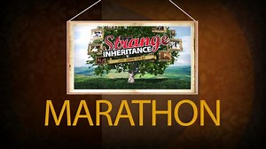 1.6K views · 13 reactions | Watch a 'Strange Inheritance' marathon TONIGHT on Fox Business! Join Jamie Colby for six back-to-back episodes, starting at 8p ET. | Strange Inheritance | Facebook