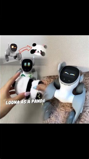 PANDA IN MY HOUSE?!! #loonapetbot #robot