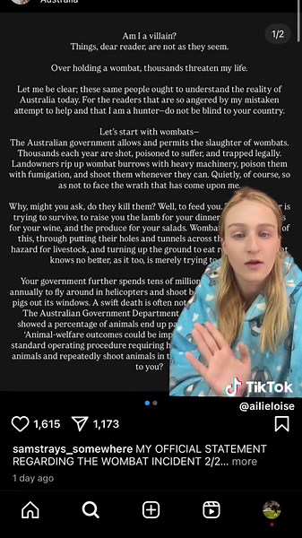 Replying to @Yumi FINAL UPDATE - Samantha Jones (samstrays_somewhere) Apology Deep Dive. What do you think? Do you think she’s sorry? #fyp #foryou #news #wombat #samjones #babywombat #influencer