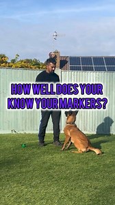 107 reactions | Using reward-specific markers in dog training can...