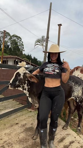 Friendly Interaction with Cows on the Farm