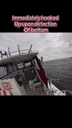 First stop bent stick! #letsgofishing #stripers #fishing #chesapeakebay #fishingtips @Humminbird @MinnKotaMotors @KnockinTailLures @Rapala @Bass Kandy Delights | Four Seasons Guide Service & Light Tackle Charter