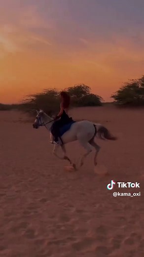 Celebrating the Lives of Old Horses #oldhorses, #horselove, #equinecompanions, #animalwelfare, #vintagehorses #creatorsearchinsights