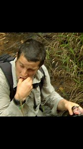 121K views · 4.9K reactions | केट फिश मछली की दावत #ManVsWild #wildanimals #video #jungle #forest #wildlife #reelsfacebook #life | Wild Animal | Facebook