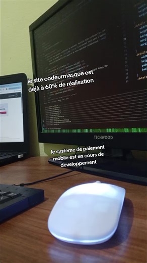 Le codeur masqué 👽 (@codeur.masque)’s videos with suono originale - BRAINROT-77