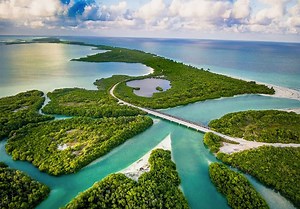 7 Inspiring Organizations that Are Leading Environmental Action in the Riviera Maya — Magazine by Maya Luxe