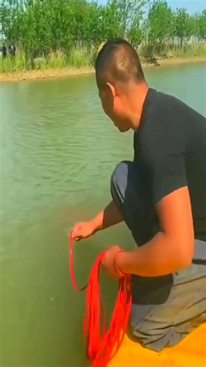catching big fish in florida #fishing #net #fishinglife