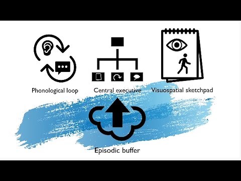Making Learning Stick: A Teacher’s Guide to Student Memory (Part 2: Short-Term Working Memory)
