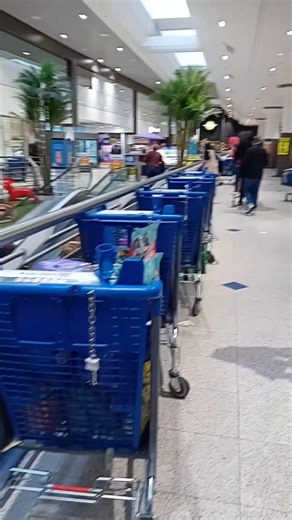 💪 Presque la fin de la collecte. Tellement contents pour nos mimis. 😸 | Association LES CHATS DE LIMEIL