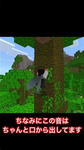 【マイクラ】見てくれ渾身の一発芸を