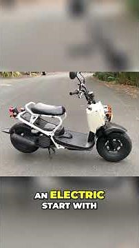 Discover the Honda Zoomer The Ultimate Urban Scooter