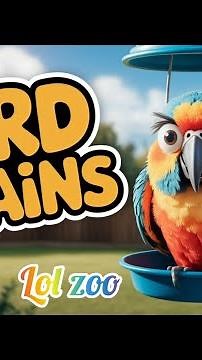 Hilarious Bird Moments That Went Totally Wrong