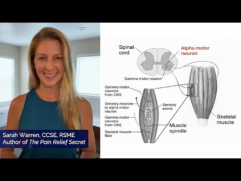 How to Release Tight Muscles: Reset Gamma Loop Activity