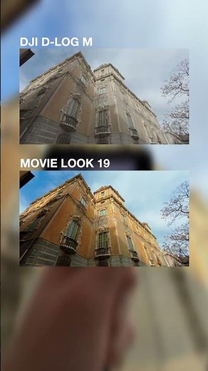 Which Cinematic LUT Makes DJI Osmo Action Look Best? You Decide
