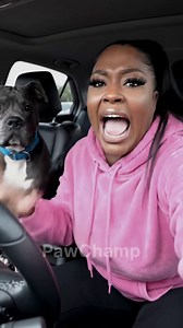 🐶 Unlock Your Dog’s Natural Calm with the Vagus Nerve Reset Challenge! 🐶 Simple, science-backed exercises designed to ease reactivity, reduce anxiety, and build stress resilience in just 10 minutes a day 🐶 No force, no complicated training—just fun, relaxing techniques to help your pup feel calmer and more confident 👇 Click below to start the journey toward a more balanced and stress-free life for your dog! | Dog's Vagus Nerve Reset Challenge