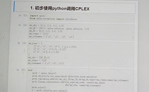 【学习】初步学习CPLEX