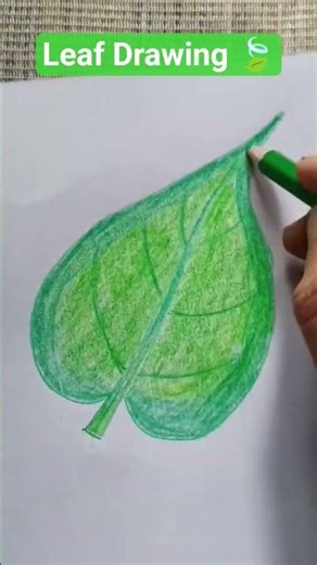 Simple Leaf Drawing 🍃 | Easy Nature Art for Beginners