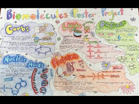 Biomolecules project video