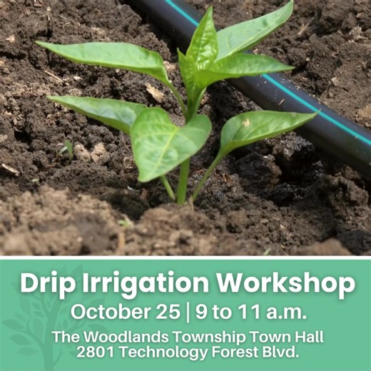 1.5K views | Did you know that conserving water can actually help...