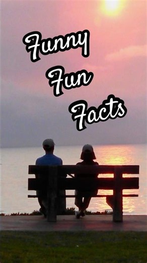 Funny Fun Facts #deepthoughts #weirdfacts