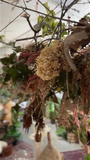 Stunning Dried Flower Display