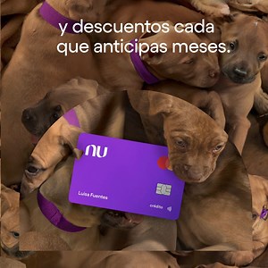 3.1M views · 4.9K reactions | La Tarjeta de Crédito Nu es para ti porque es fácil de usar y porque gracias a su tecnología, solo tú accedes a tu dinero. | Nu México | Facebook