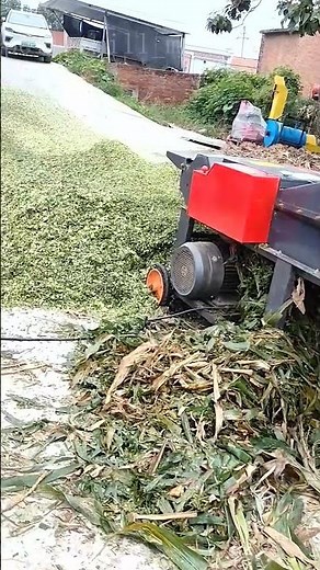 A chaff cutter or silage crusher can crush straw and other forage.